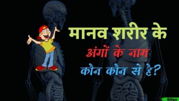 मानव शरीर के अंगों के नाम