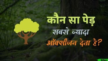 Kaun sa ped sabse jyada oxygen deta hai