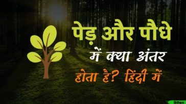 पेड़ पौधों में अंतर