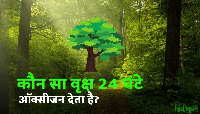 कौन सा वृक्ष 24 घंटे ऑक्सीजन देता है