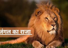 जंगल का राजा कौन है