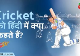 क्रिकेट को हिंदी में क्या कहते हैं