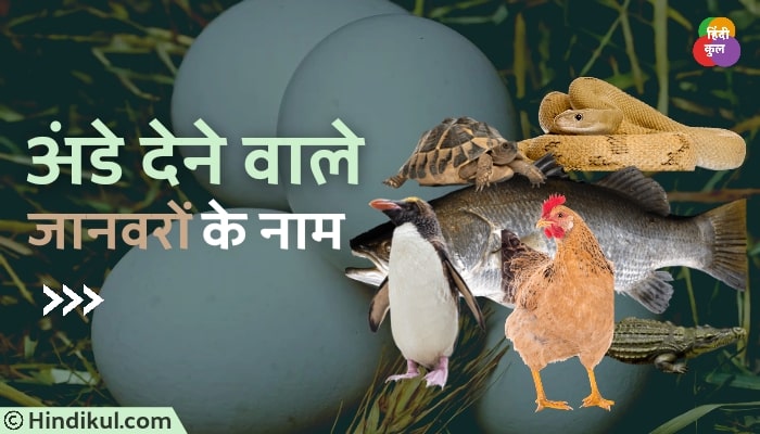 अंडे देने वाले जानवरों के नाम