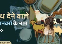 दूध देने वाले जानवरों के नाम