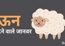 ऊन देने वाले जानवरों के नाम